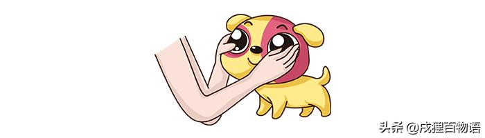 宠物补钙吃什么牌子的钙片好,宠物补钙用什么钙最好