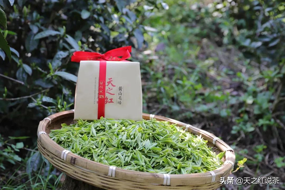 迎客松雪中美景,迎客松下