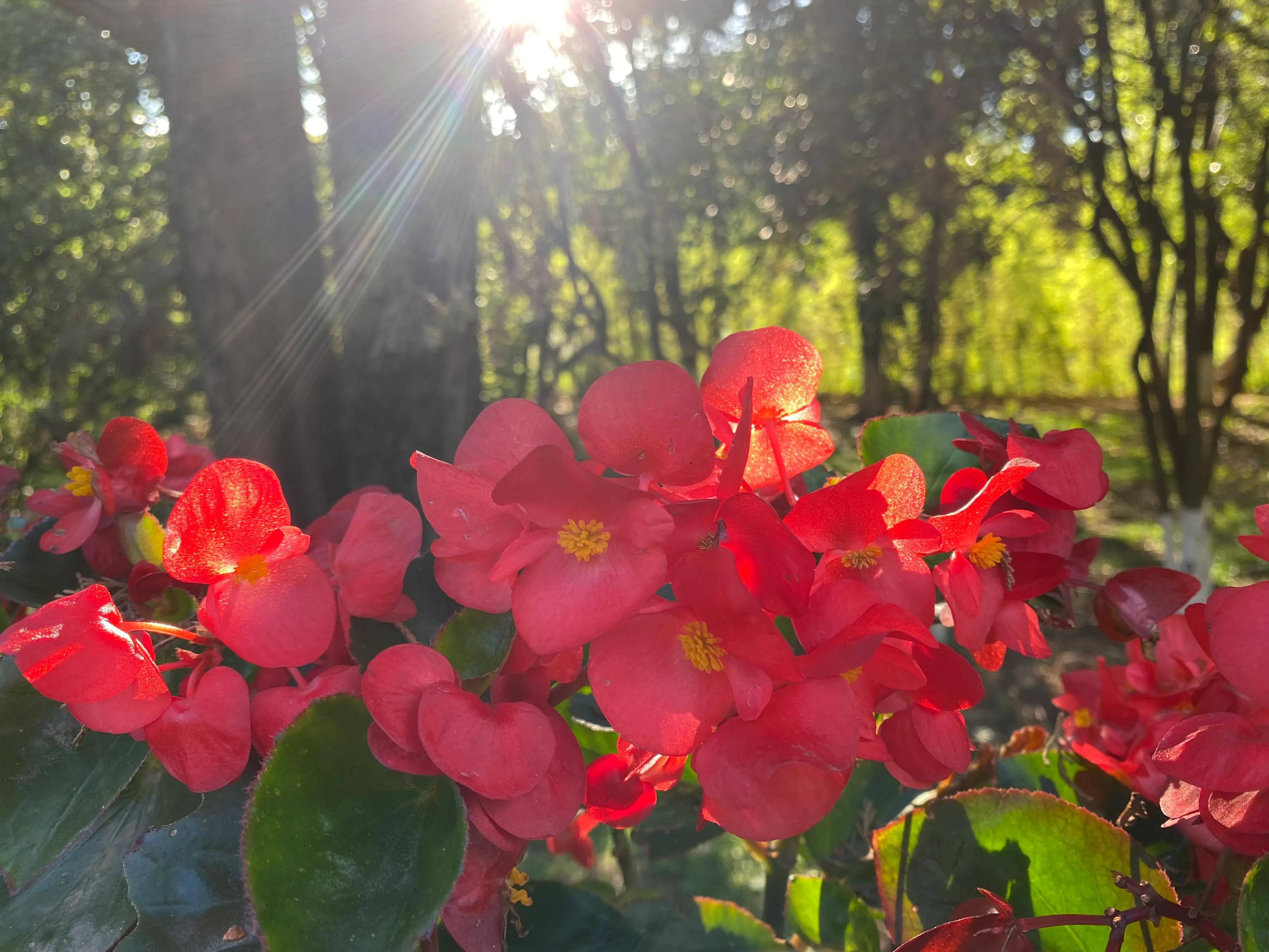 也许你该找个人聊聊在线阅读小说,也许你该找人聊聊简介