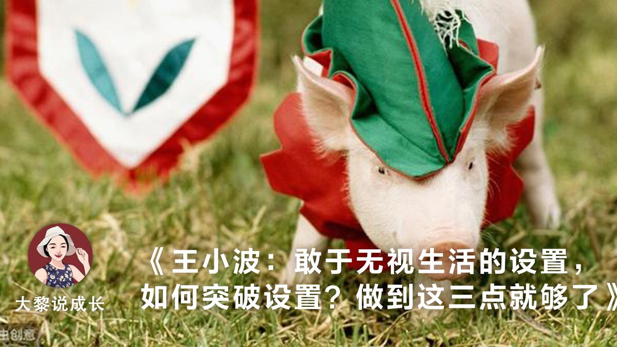 新作者扶植计划技巧,新作者扶植计划结束了吗