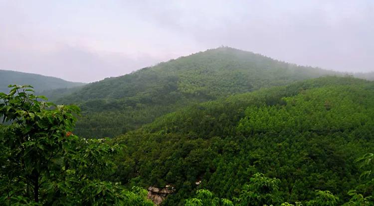 华容县景点排名,华容风景排名