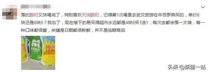 疆新域酸奶,新款新疆伊犁酸奶