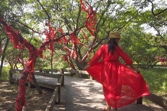 曹妃甸海上游,曹妃甸海上一日游哪里不错