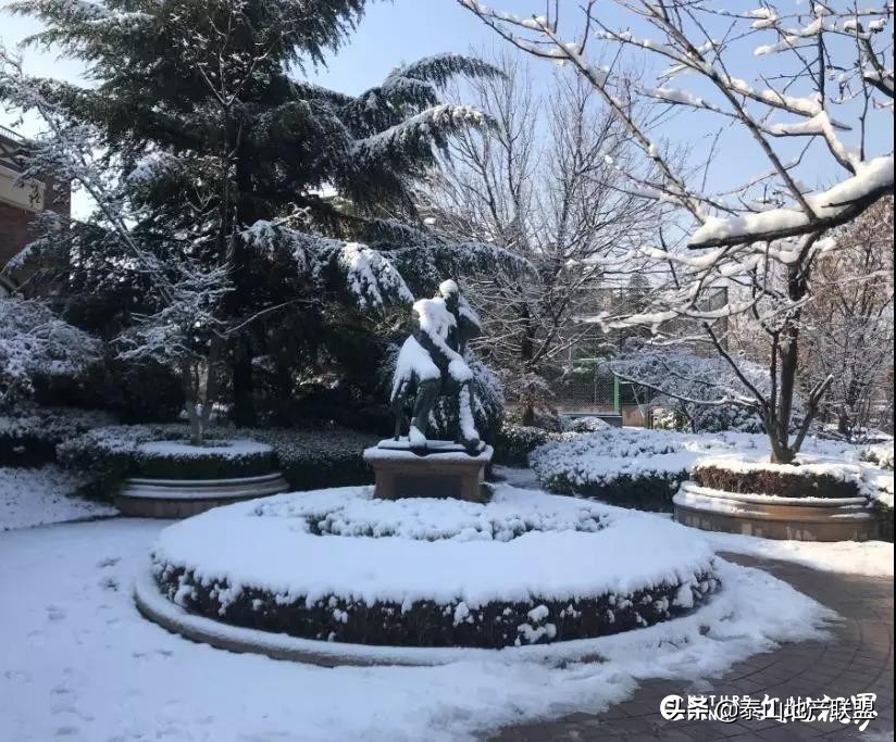 最美物业人霸气,最美物业人保安