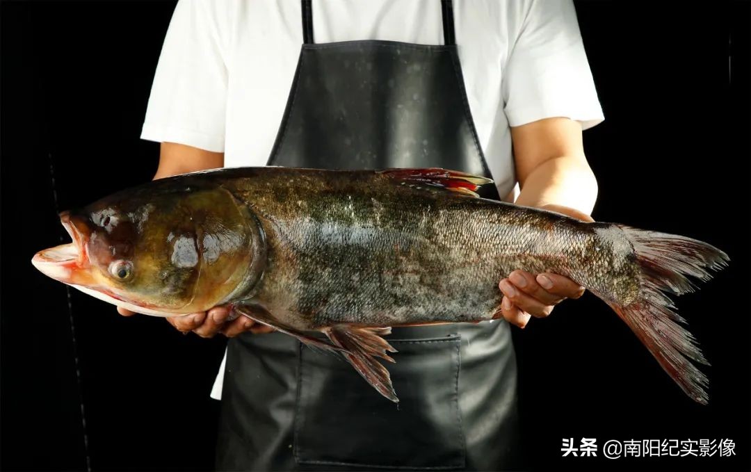 盛世开元喜宴酒店草原兴发,盛世开元草原兴发店