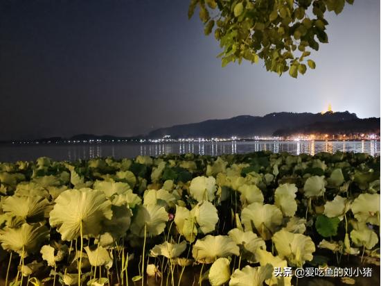 南方景色巅峰!饱含人间风雅的西湖到底有多美?