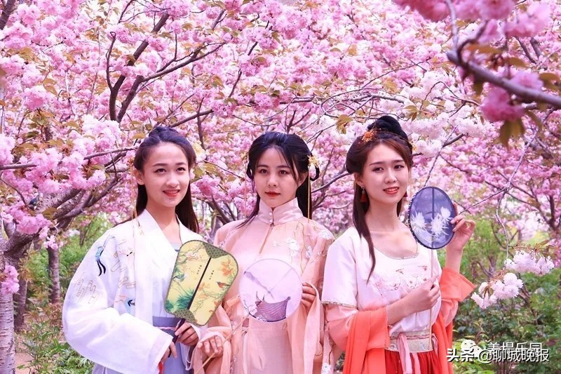 金匮公园看樱花游玩攻略,聊城姜堤乐园樱花什么时候开