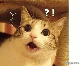 这几款日本网红眼药水被国外禁售,哪些禁售的日本网红眼药水