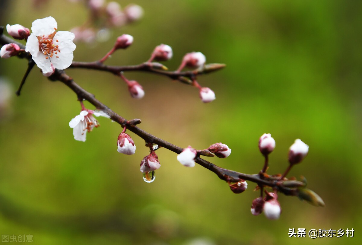 春分节气的民间习俗及禁忌,春分节气的习俗和禁忌