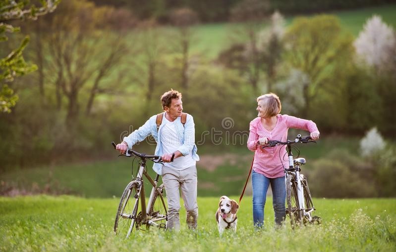 什么钙片补钙效果最好骨质疏松症,老人骨质疏松吃钙片无法补钙