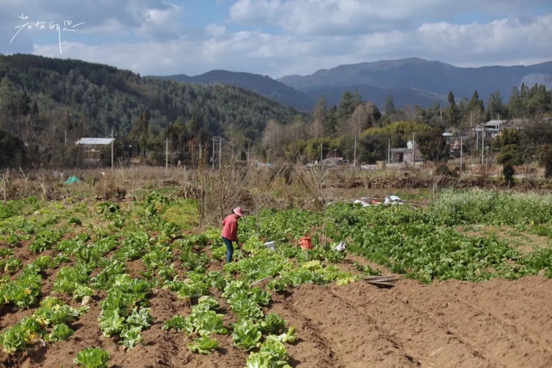 极边之城腾冲，来这里必做的八件事，否则白来了