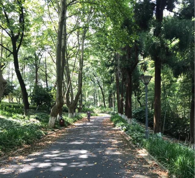 九溪避暑好去处,九宫山避暑胜地亲子游