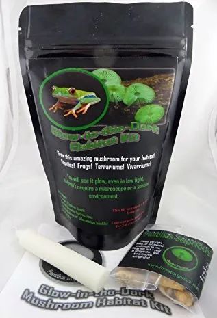 蘑菇头上有红点,蘑菇头上有小红点