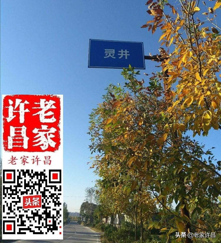 当年灵井寨,神奇故事多:鹌鹑斗,匪败走,关公佑