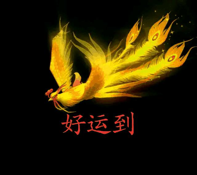 俗话说：成功的人有“十悟”，失败的人有“十误”