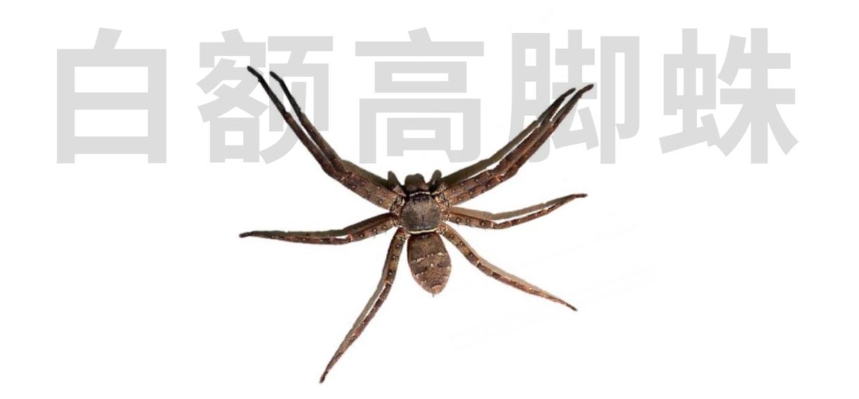 家中厨房蟑螂多怎么消除,家中有蟑螂怎么一网打尽