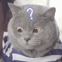 卖给你成本十几块的假飞利浦剃须刀后，他们住进了1000万的别墅