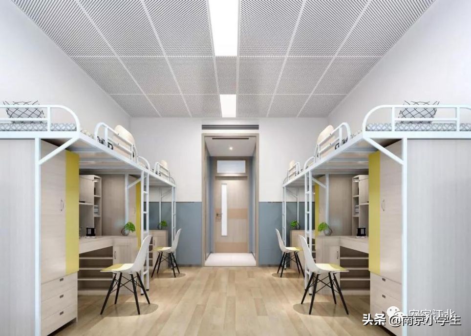 教育迎来重大改革,教育迎来什么利好政策