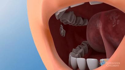 知常识|如果人嘴里没有唾液会怎样？