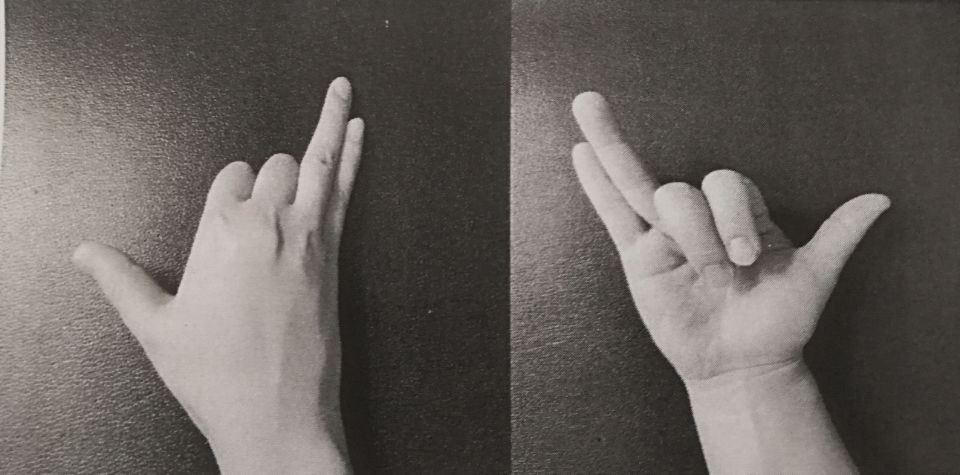 瑜伽腹式呼吸调息引导,瑜伽调息呼吸法