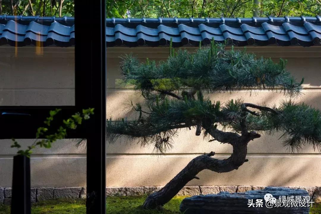 杭州日式禅意小庭院,西溪里禅意庭院效果图