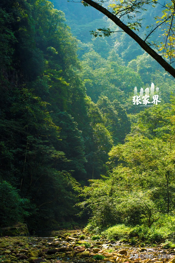 张家界团队游玩路线攻略图,张家界三日游详细攻略