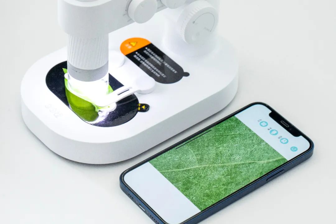 暑假孩子玩手机不如打篮球吧,儿童显微镜放大蚂蚁120倍