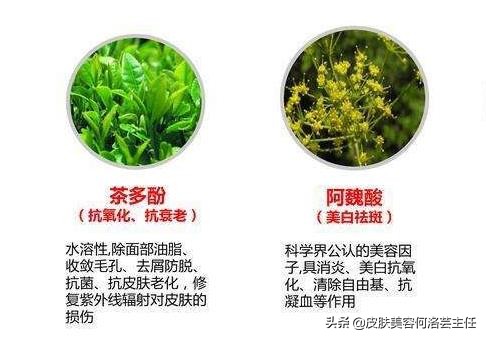 抗氧化护肤品需要含什么成分,抗氧化护肤品的功效