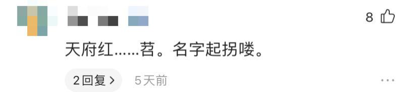 天府红天府广场路线,从天府广场到天府红