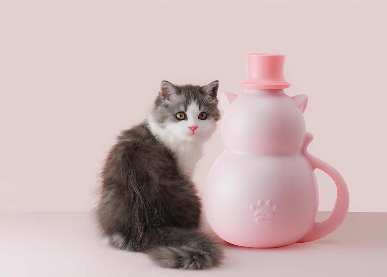 怀孕期间适合养什么宠物,怀孕了能养宠物吗猫和狗