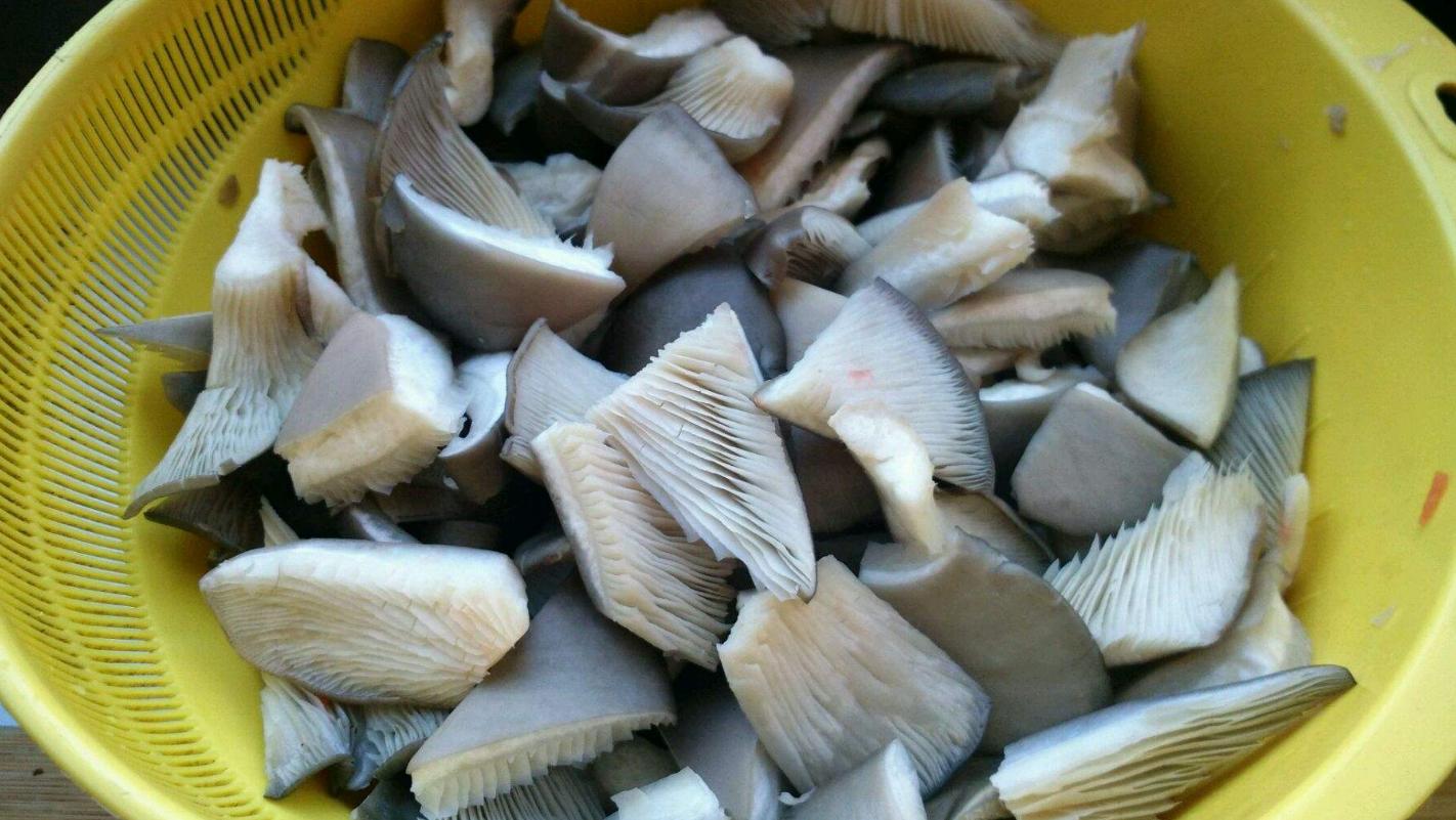 平菇最好吃的六种做法,平菇5种最好吃的做法