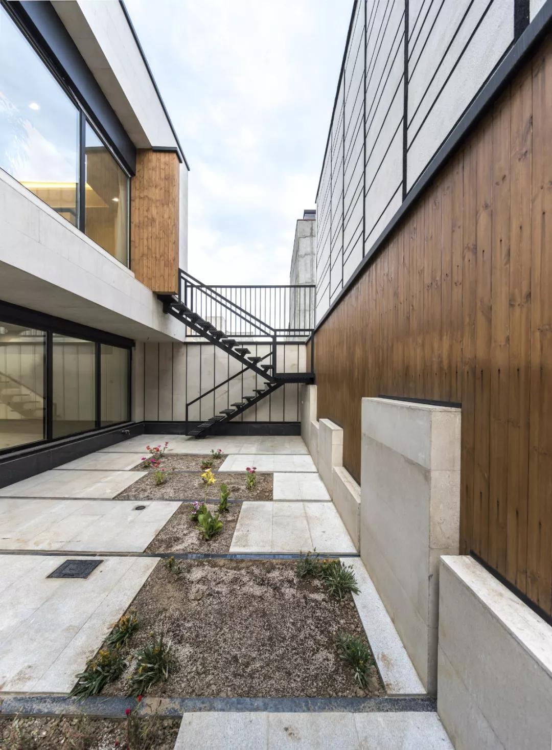 如果我有个院子我要种满花,如果我有个院子你猜我要种什么