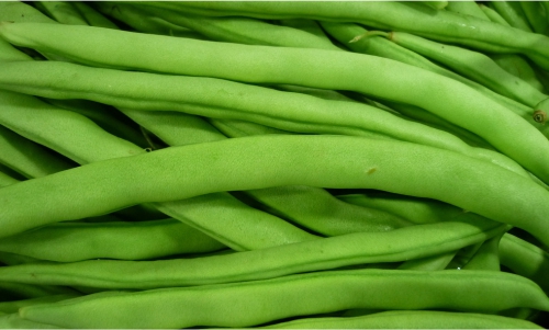 湿疹的饮食注意,儿童饮食建议及注意事项