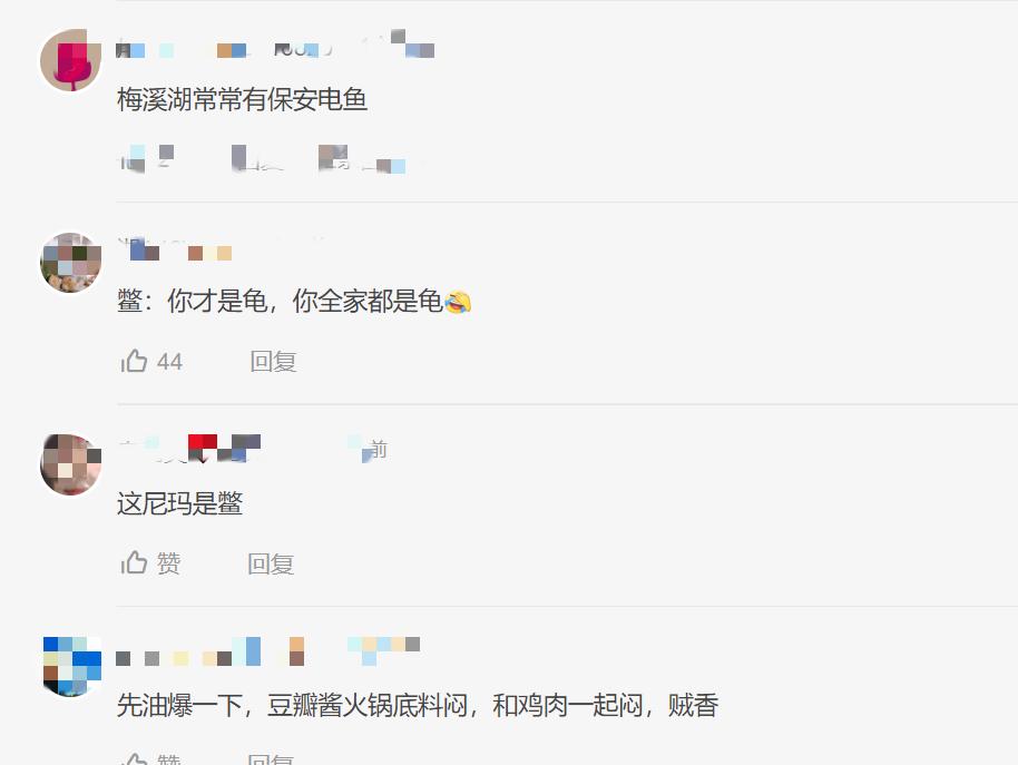 村民捡到40多斤巨鳖将其放生,58斤大鳖突然浮出水面吓坏江边人