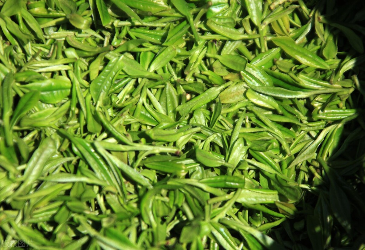 2021中国十大名茶,中国十大名茶及其介绍