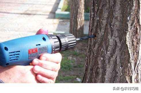 果树打针的危害,果树打针管和配件