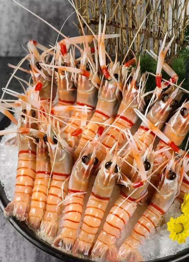 上海端午福利套餐,9.9抵100优惠券日本料理