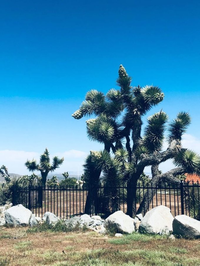 美国洛杉矶旅游七日游费用,美国洛杉矶旅游攻略视频