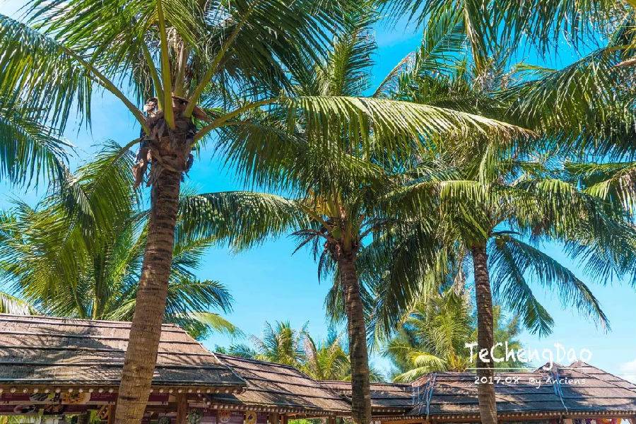 湛江一日游最佳景点湛江特呈岛,特呈岛湛江旅游攻略