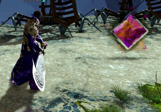 激战2最前置的幻化,激战2特性系统