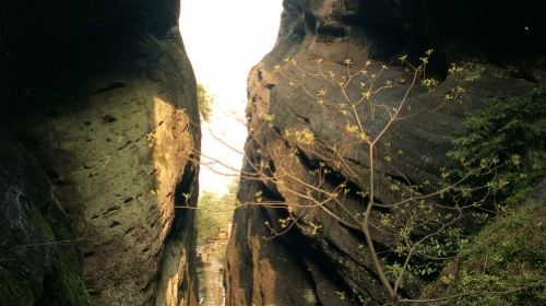 龙岩市旅游景区布局图,龙岩市旅游景区管理系统