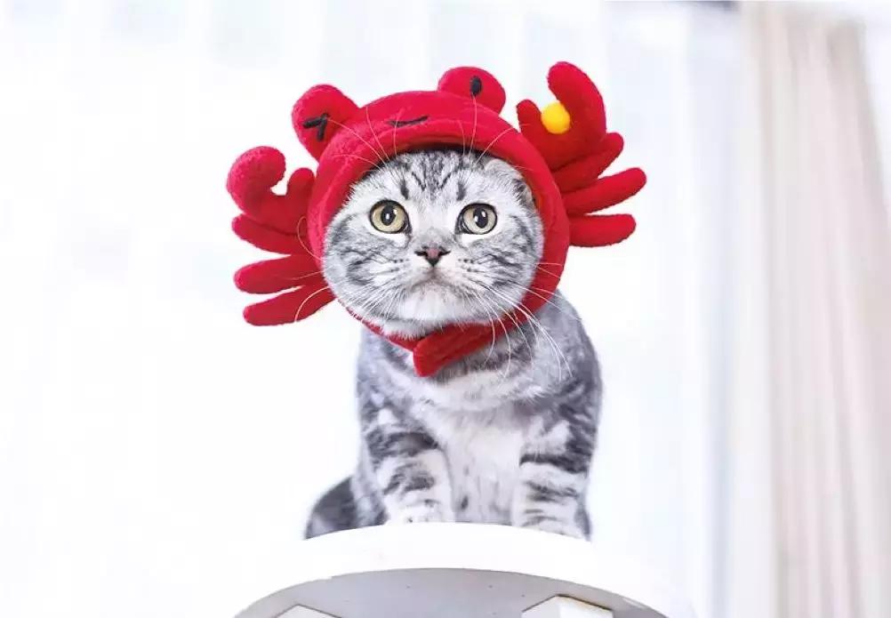 华谊兄弟电影世界苏州国庆,苏州华谊兄弟电影世界攻略下篇