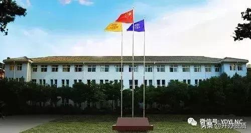 中国冶金公司现状,中国冶金公司近况