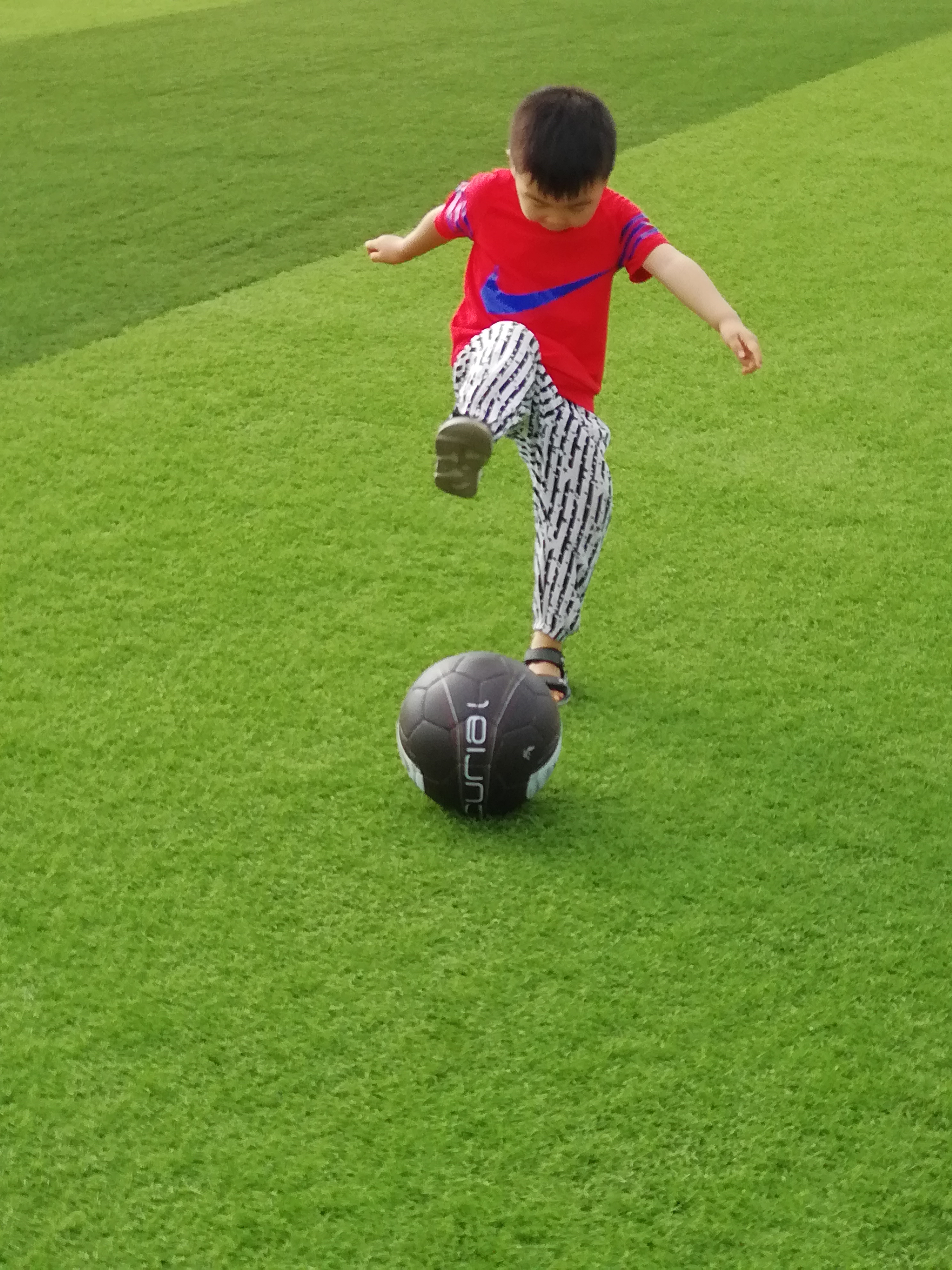 春天要给孩子做点什么才能长高,春天帮助孩子长高食谱