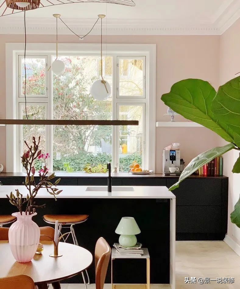 室内植物的摆放设计及养护,室内什么盆栽植物好养护呢