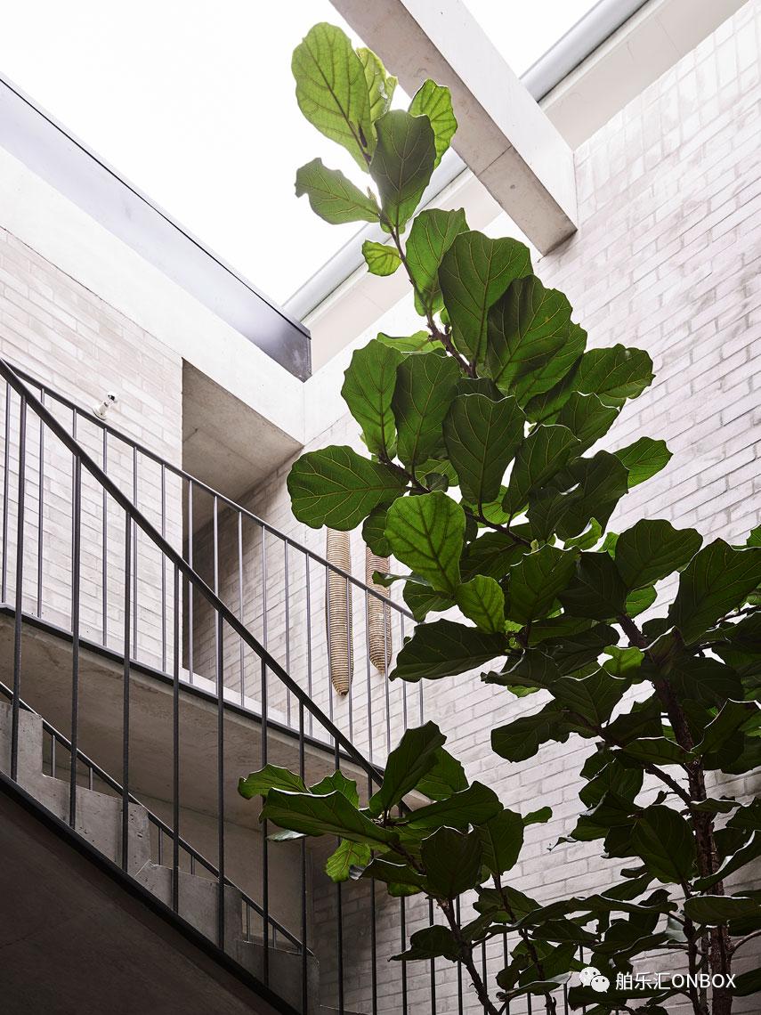 奢华艺术家居｜Arent＆Pyke惊艳的澳大利亚当代设计