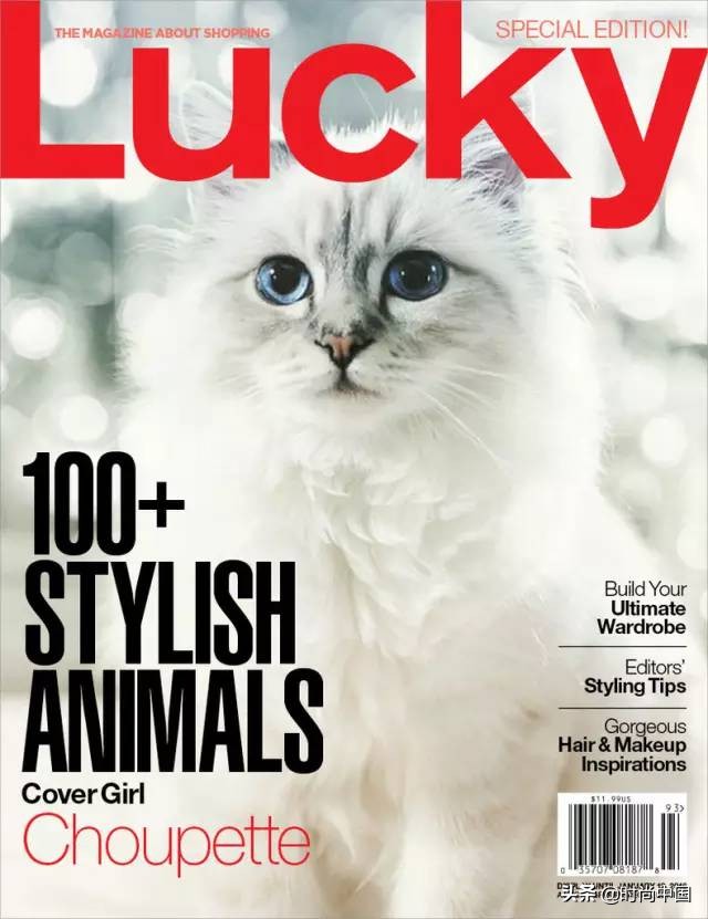 买不起香奈儿包包还可以买什么,买不起系列香奈儿