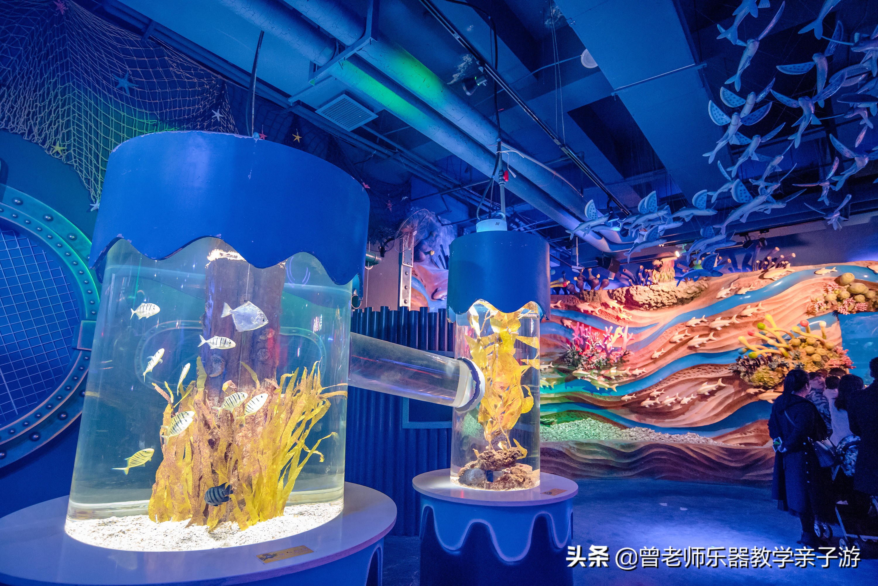 西安太奥海洋馆,西安极地海洋世界海豚表演