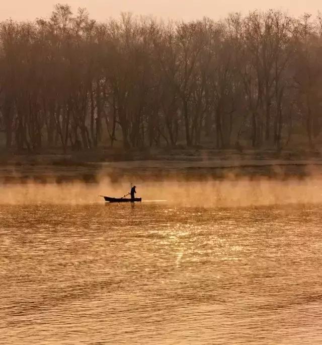 最美银杏秋景自驾攻略,杭州银杏树旅游攻略