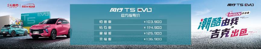 风行t5evo用户真实反应,东风风行t5evo音响效果